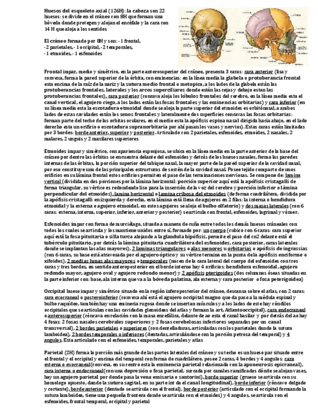 Miniatura del documento Caracteristicas-de-los-huesos-del-cuerpo-humano.pdf