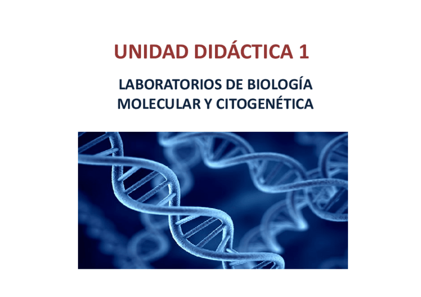 Miniatura del documento EL-LABORATORIO-DE-BIOLOGIA-MOLECULAR-Y-CITOGENETICA.pdf