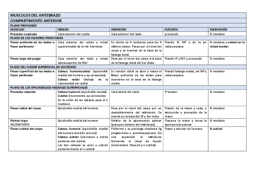 Miniatura del documento tabla-musculos-anatomia-ii.pdf
