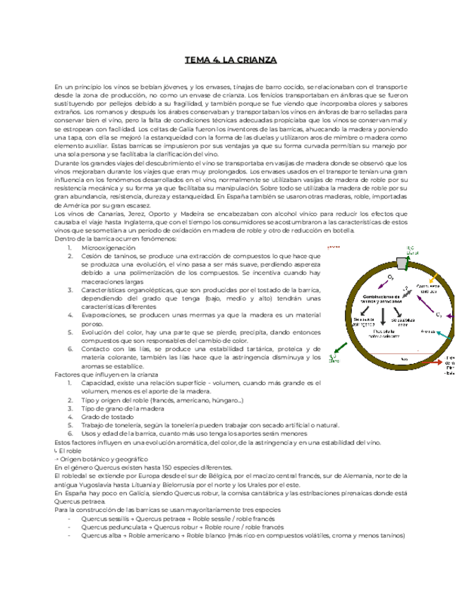 Miniatura del documento 4.-TIE.pdf