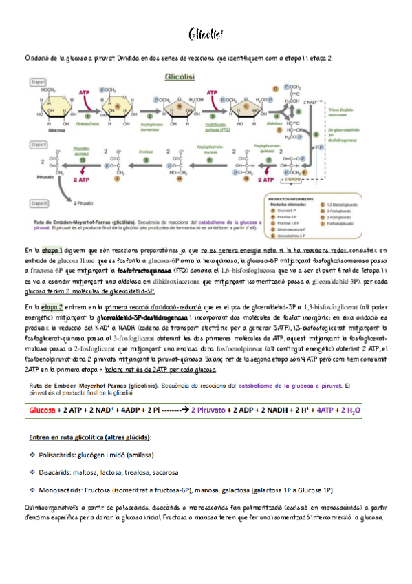 Miniatura del documento TEMA-8-RUTES.pdf
