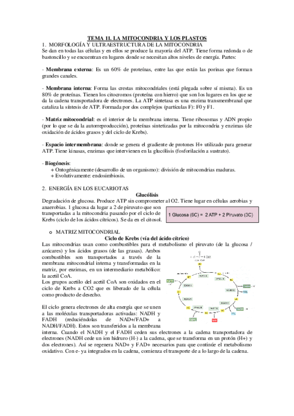 Miniatura del documento TEMA-11-12-Y-13.pdf