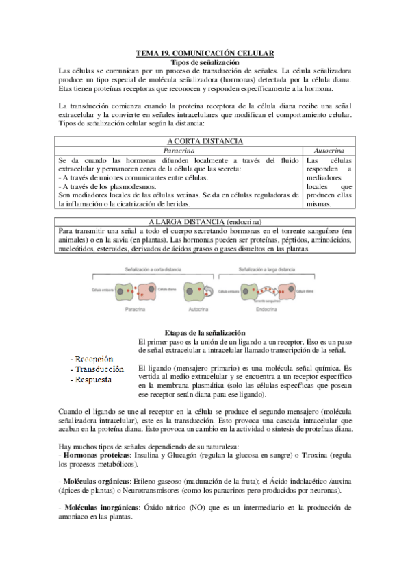 Miniatura del documento TEMA-19.pdf