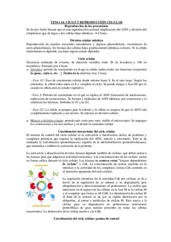 Miniatura del documento TEMA-16-17-Y-18.pdf