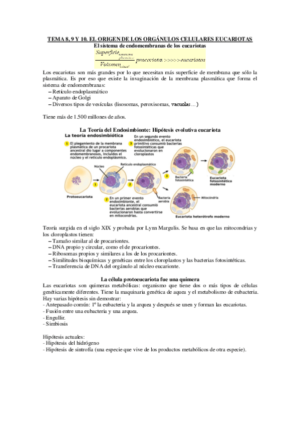 Miniatura del documento TEMA-8-9-Y-10.pdf