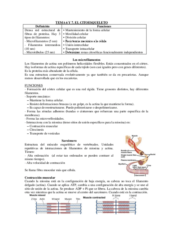 Miniatura del documento TEMA-6-Y-7.pdf