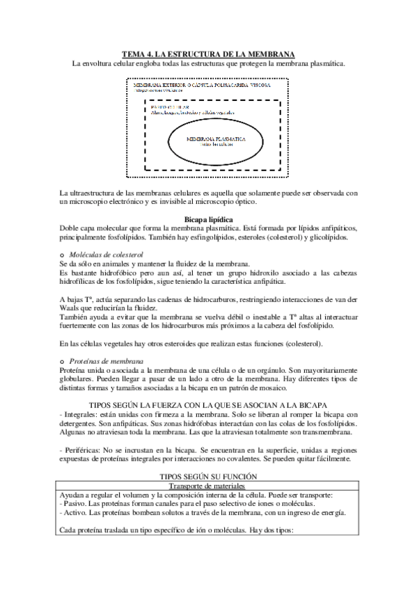 Miniatura del documento TEMA-4-Y-5.pdf