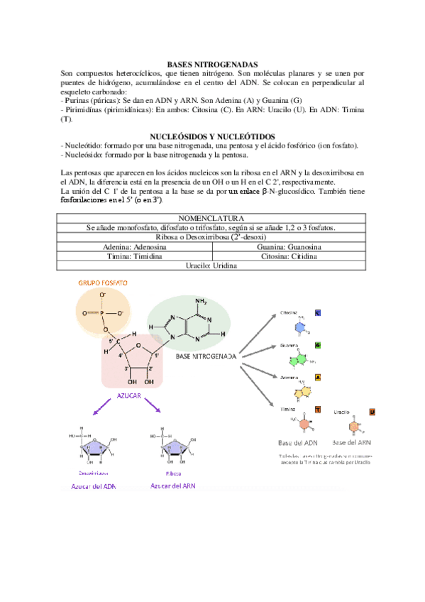 Miniatura del documento TEMA-2-genetica.pdf
