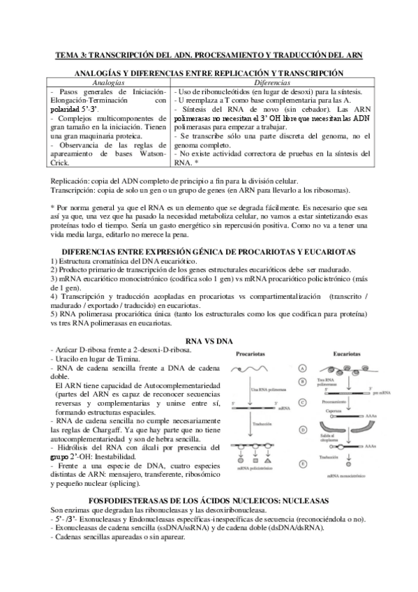Miniatura del documento TEMA-3-INCOMPLETO-genetica.pdf