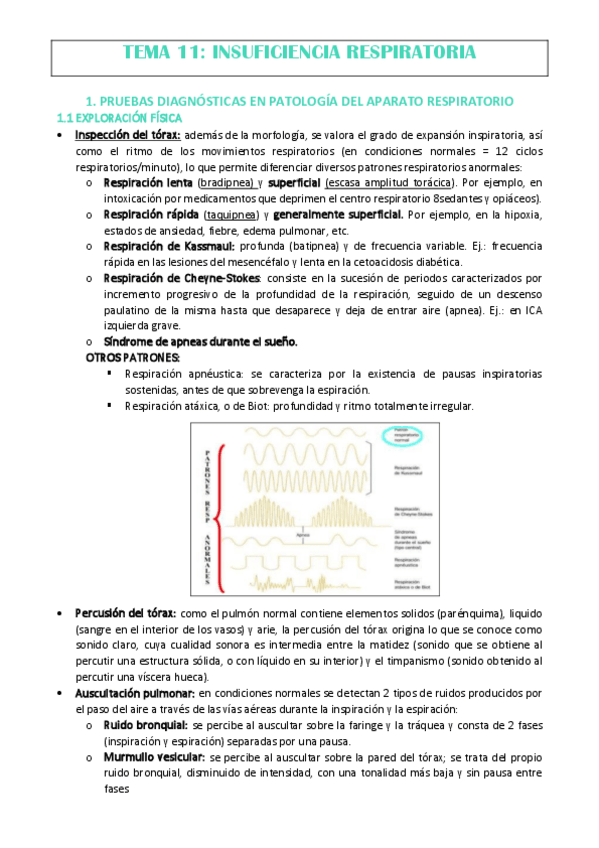 Miniatura del documento TEMA-11.pdf