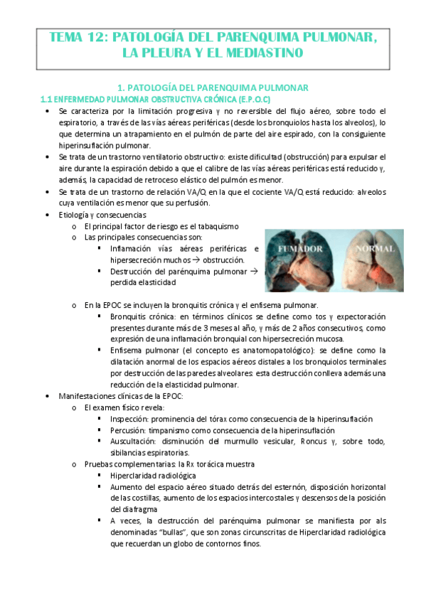 Miniatura del documento TEMA-12.pdf