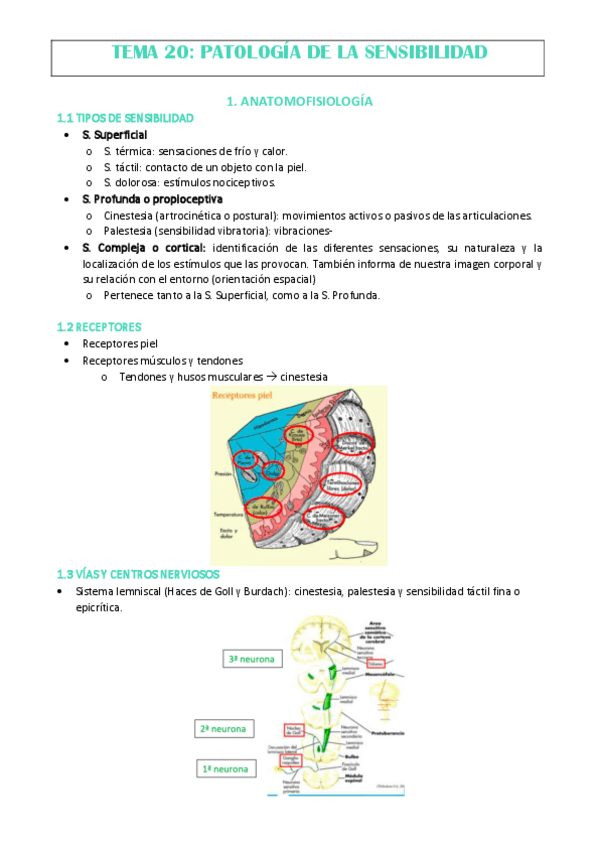 Miniatura del documento TEMA-20.pdf