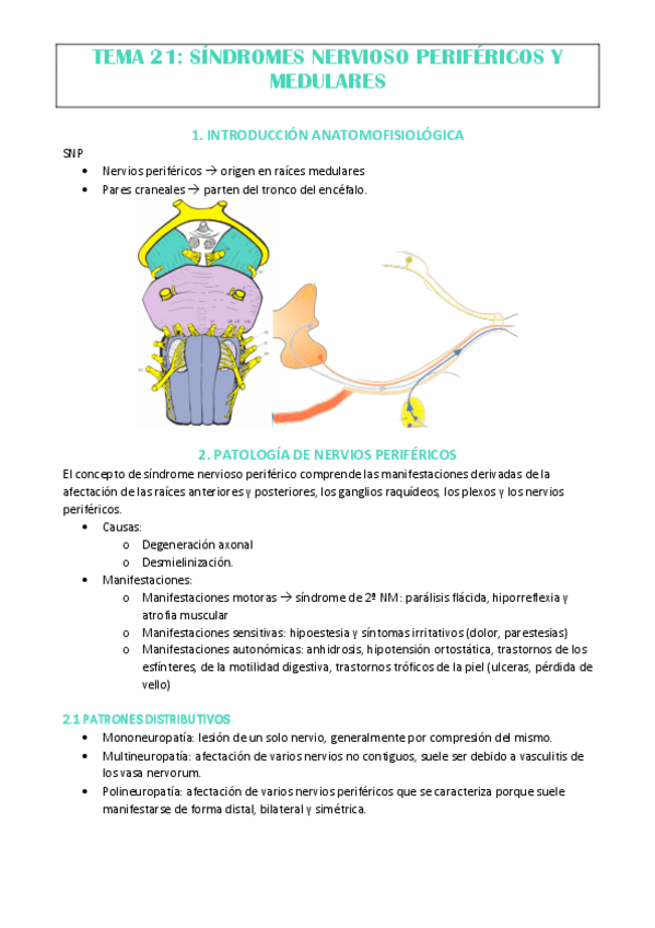 Miniatura del documento TEMA-21.pdf
