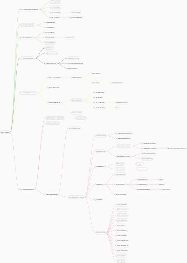 Miniatura del documento ESQUEMA-DE-TODO-EL-REINO-ANIMAL-CON-LOS-QUE-HAY-QUE-APRENDERSE.pdf
