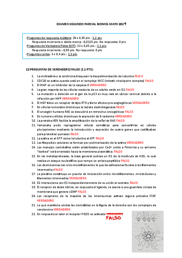 Miniatura del documento EXAMEN-SEGUNDO-PARCIAL-BIOMOL-MAYO-2024.pdf