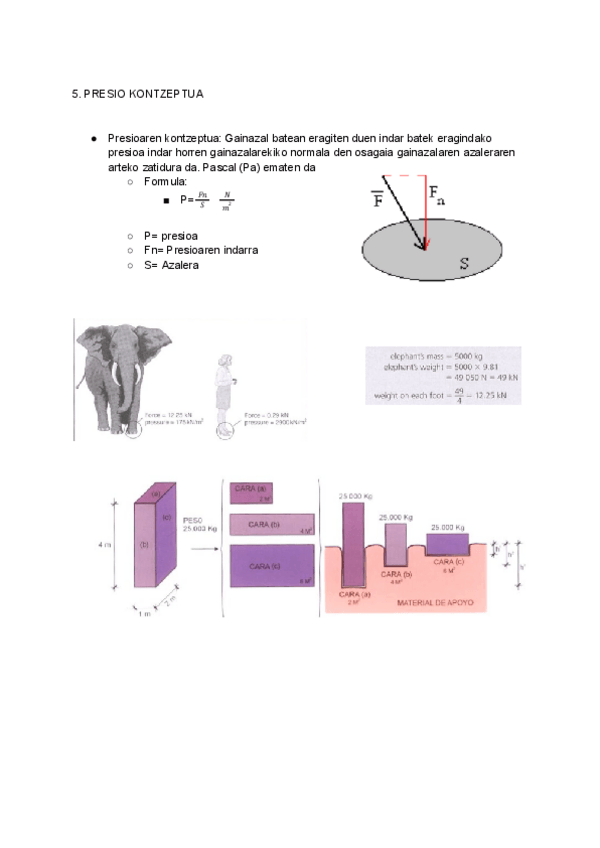 Miniatura del documento 5.-PRESIO-KONTZEPTUA.pdf