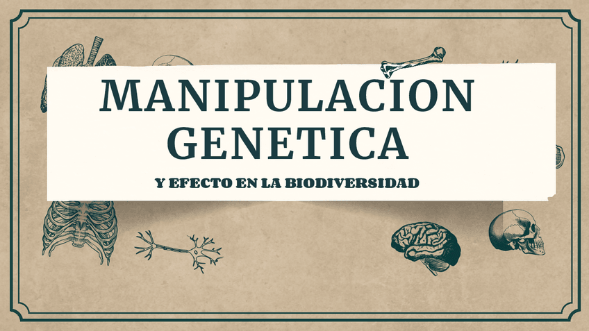 Miniatura del documento manipulacion-genetica.pdf