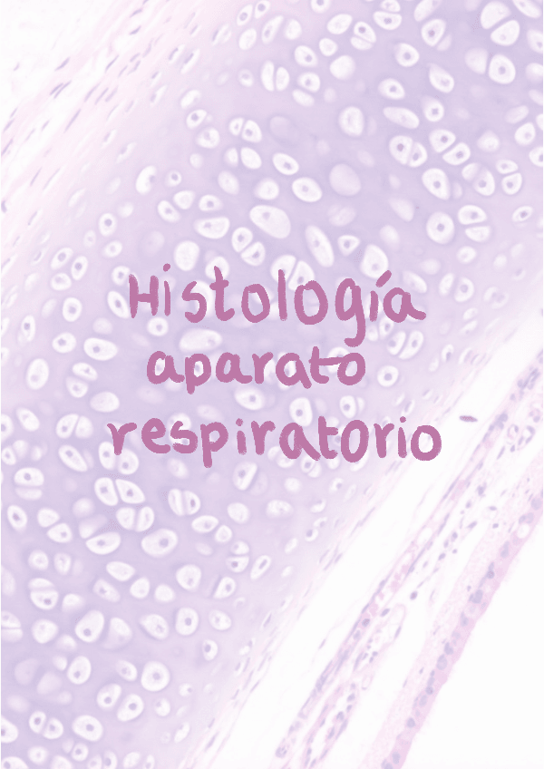 Miniatura del documento Histologia-del-aparato-respiratorio.pdf
