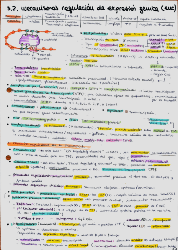 Miniatura del documento Tema-3.2.-Mecanismos-de-regulacion-de-expresion-genica-en-eucariotas-apuntes.pdf