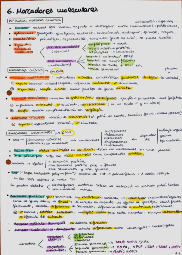 Miniatura del documento Tema-6.-Marcadores-moleculares.pdf