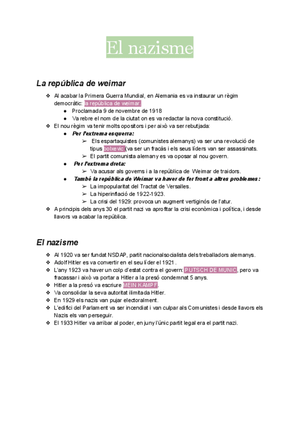 Miniatura del documento el-nazisme.pdf