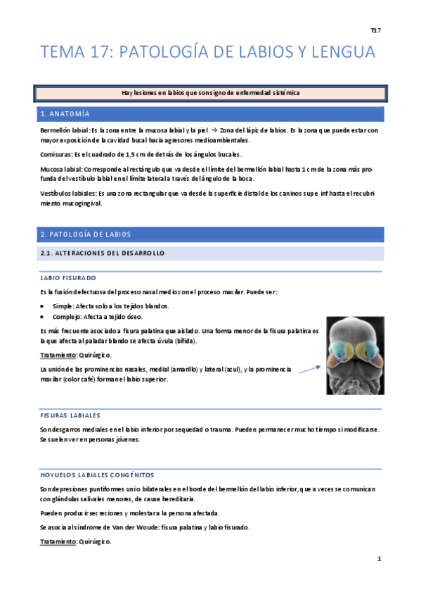 Miniatura del documento Tema-17.pdf