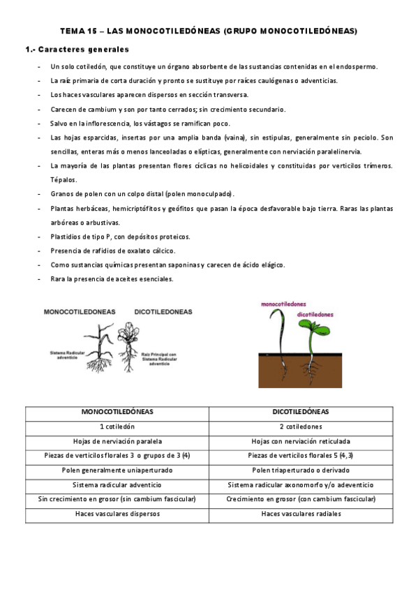 Miniatura del documento Tema-15.pdf