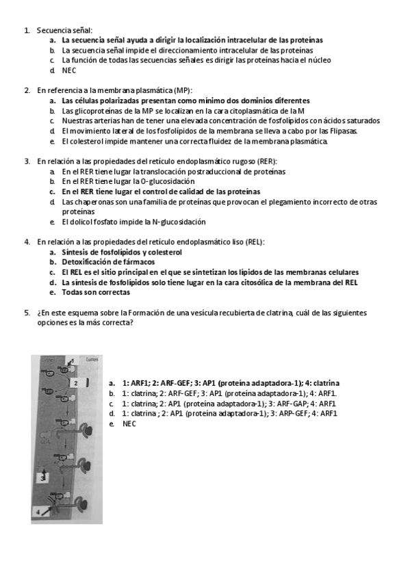 Miniatura del documento examen-final-2021.pdf
