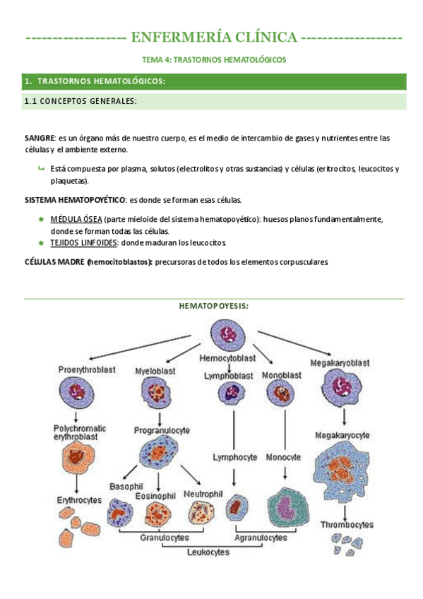 Miniatura del documento TEMA-4-TRASTORNOS-HEMATOLOGICOS-.pdf