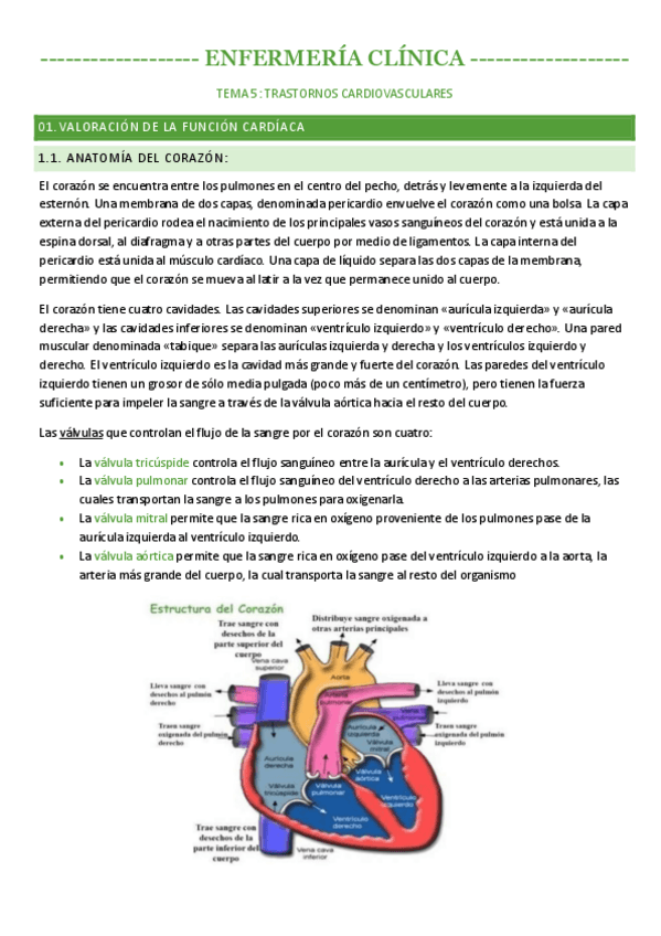 Miniatura del documento TEMA-5-PATOLOGIAS-CARDIOVASCULARES-.pdf