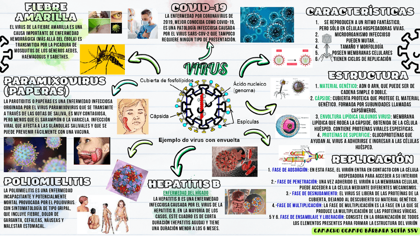 Miniatura del documento Mapa-Virus.pdf