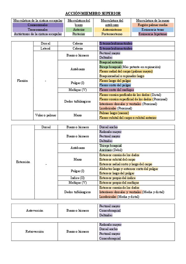 Miniatura del documento Acciones-musculos.pdf