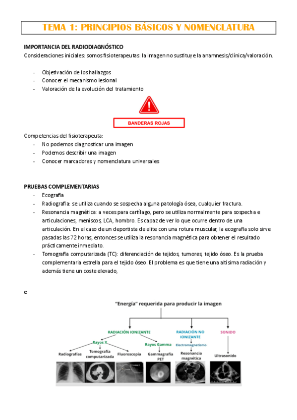 Miniatura del documento TEMA-1.pdf