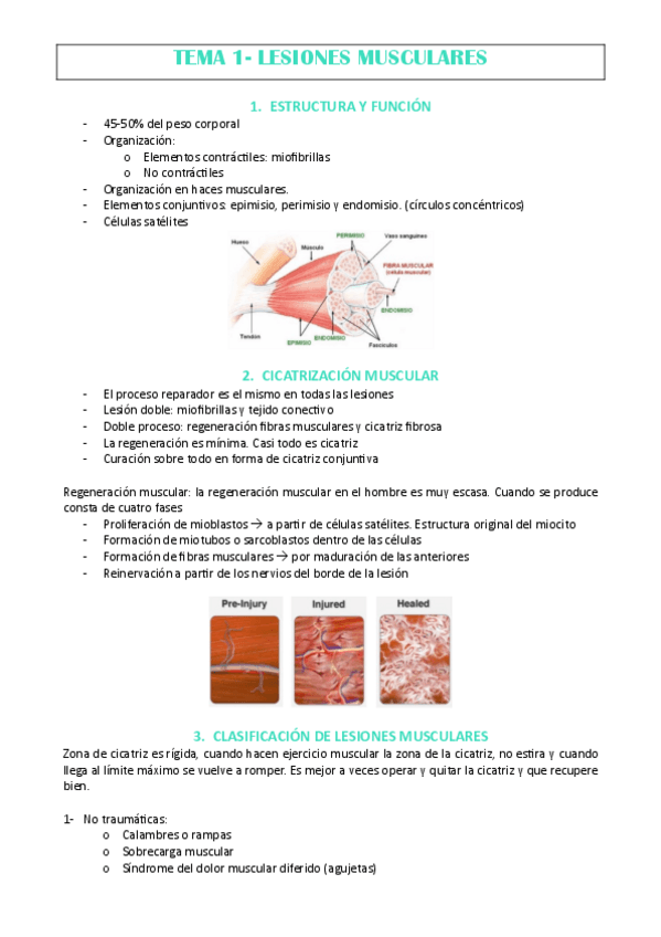 Miniatura del documento TEMA-1-J.NEBOT.pdf