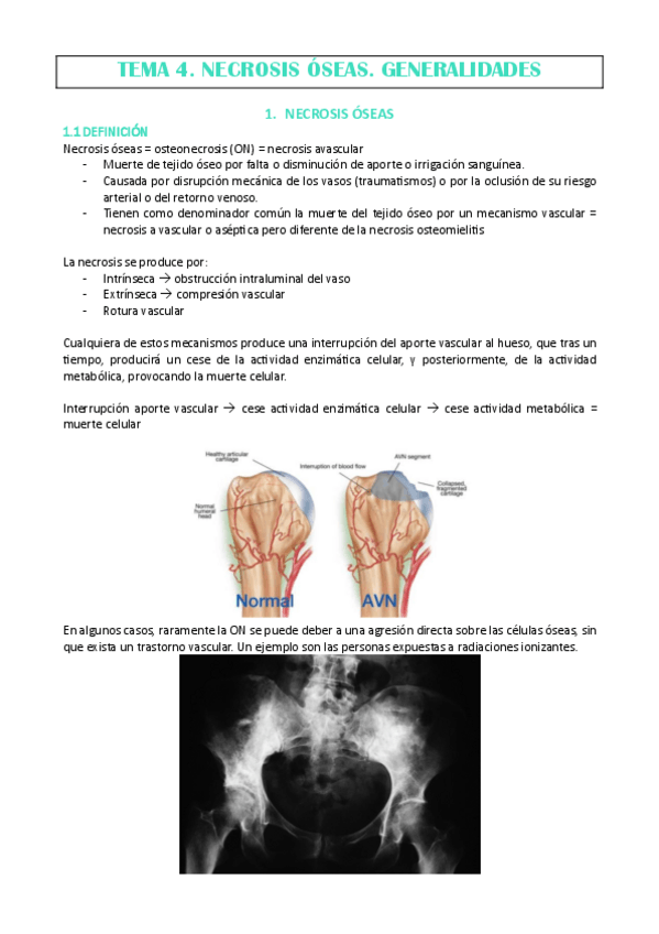 Miniatura del documento TEMA-4-MARISA.pdf