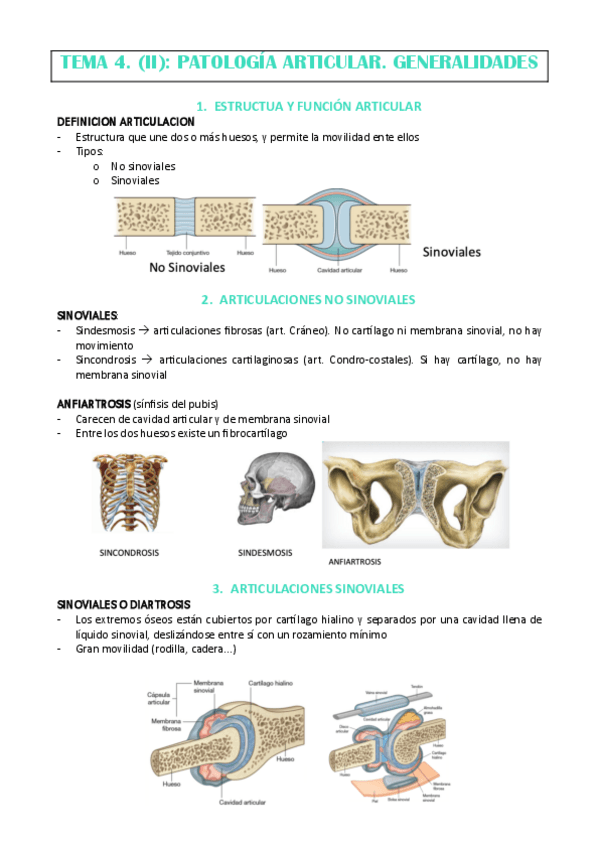Miniatura del documento TEMA-4-parte-2-MARISA.pdf
