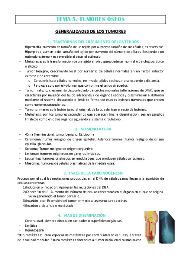 Miniatura del documento TEMA-5-REDIN.pdf