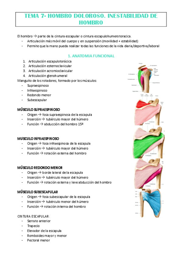 Miniatura del documento TEMA-7-DR-DIAZ.pdf