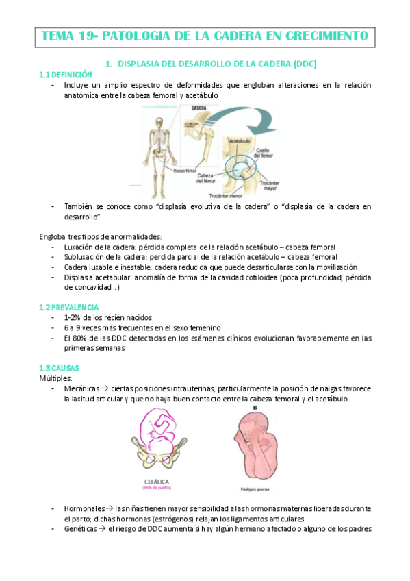 Miniatura del documento TEMA-19-ANA-CHECA.pdf