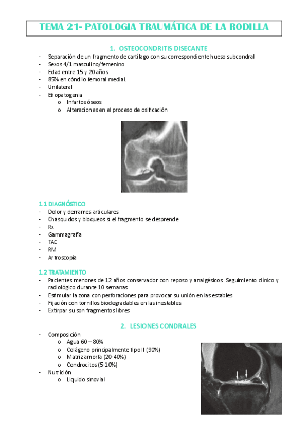 Miniatura del documento TEMA-21-J.NEBOT.pdf