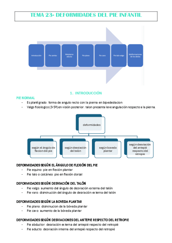 Miniatura del documento TEMA-23-ANA-CHECA.pdf