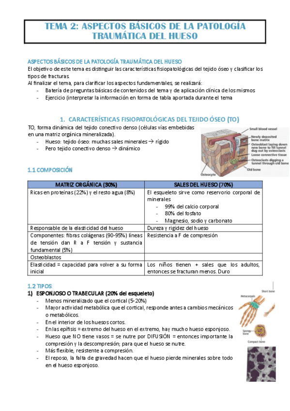 Miniatura del documento TEMA-2-EVA.pdf