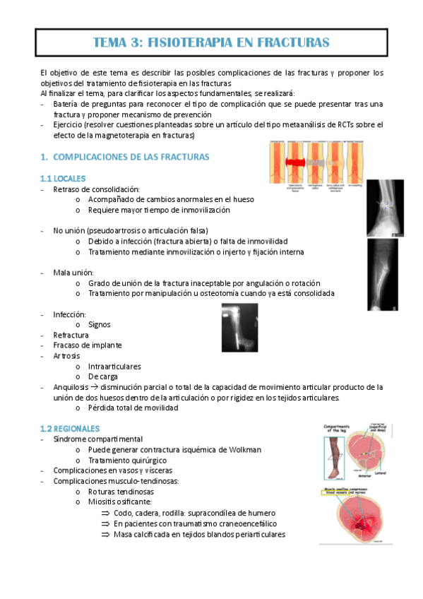 Miniatura del documento TEMA-3-EVA.pdf
