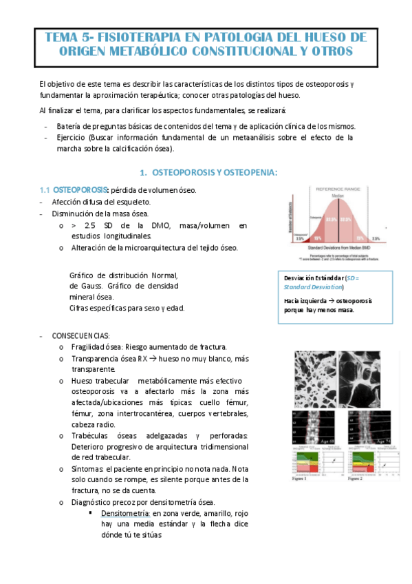 Miniatura del documento TEMA-5-EVA.pdf