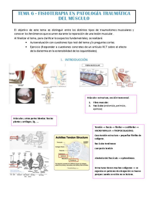 Miniatura del documento TEMA-6-EVA.pdf