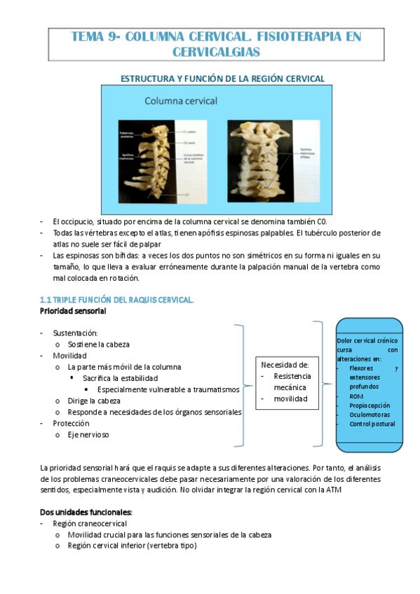Miniatura del documento TEMA-9.1-ISA.pdf