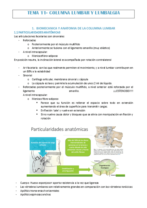Miniatura del documento TEMA-11-ISA.pdf