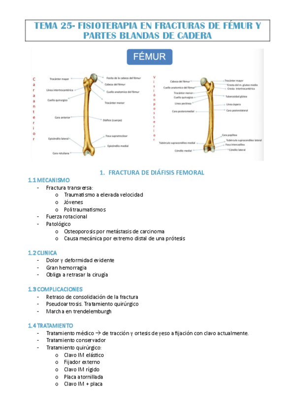 Miniatura del documento TEMA-25-JAVI-MOLINA.pdf