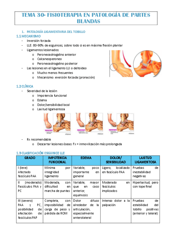 Miniatura del documento TEMA-30-JAVI-MOLINA.pdf