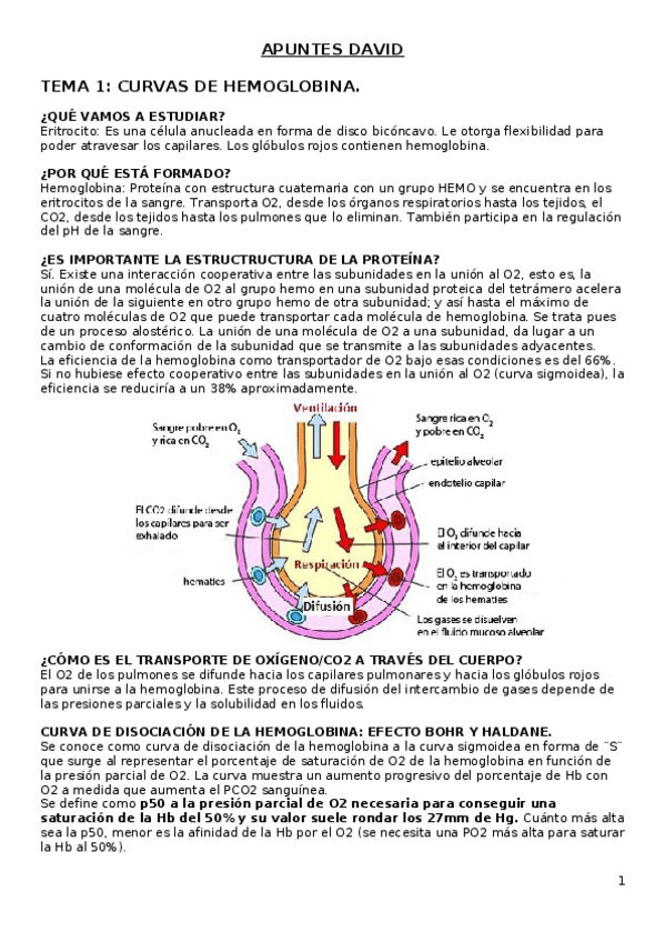 Miniatura del documento APUNTES-DAVID.docx